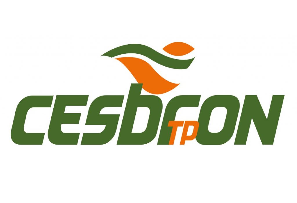 offre emploi conducteur travaux